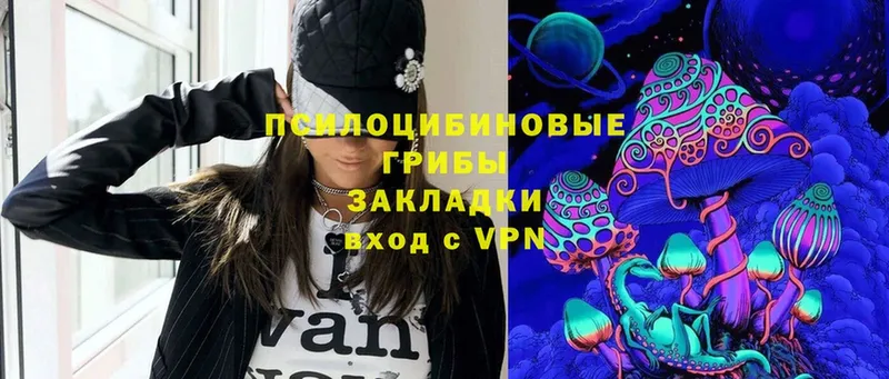 Галлюциногенные грибы Psilocybine cubensis  Алушта 